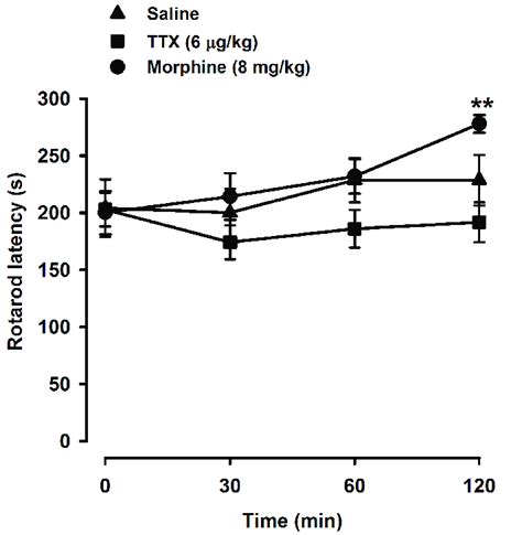 Effects Of TTX Morphine And Saline On The Rotarod Test The Latency