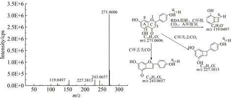 UPLC Q Exactive Plus MS分析高粱壳化学成分及黄嘌呤氧化酶体外抑制活性筛选