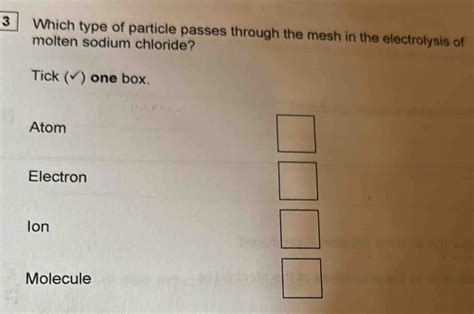 Solved Which Type Of Particle Passes Through The Mesh In The