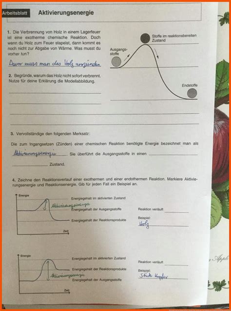 Exotherme Und Endotherme Chemische Reaktion Arbeitsblatt Chemie