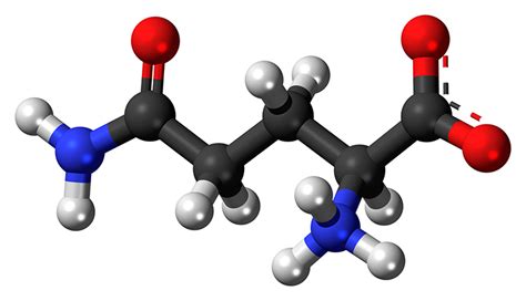 What Glutamine Does to My Leaky Gut… | GUT BRAIN HEALING with PROFESSOR ...