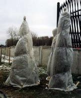 САН Ландшафтный дизайн и проектирование, озеленение и благоустройство ...