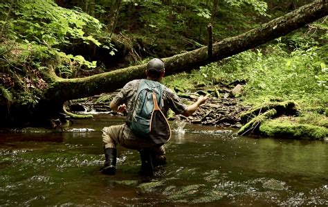 Catskill Mountains Brook Trout Midcurrent