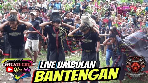 Bantengan Kalapan Mberot Satrio Sumo Lembu Joyo Feat Bocil Audio