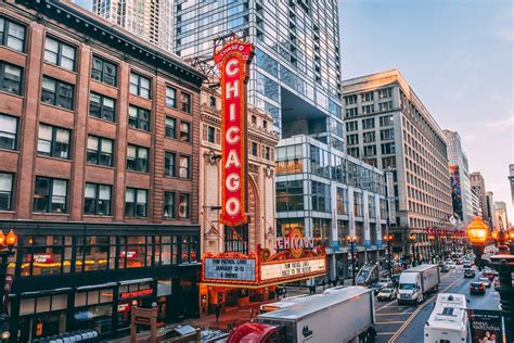 area code     chicago area code today burner