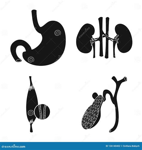 Isolated Object Of Body And Human Icon Set Of Body And Medical Vector