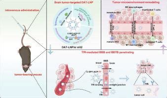 Sirna Journal Of Controlled