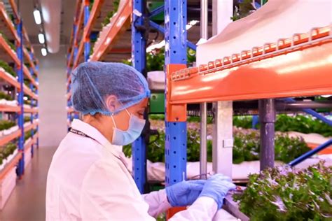 Inside The World S Largest Vertical Farm Hortimedia