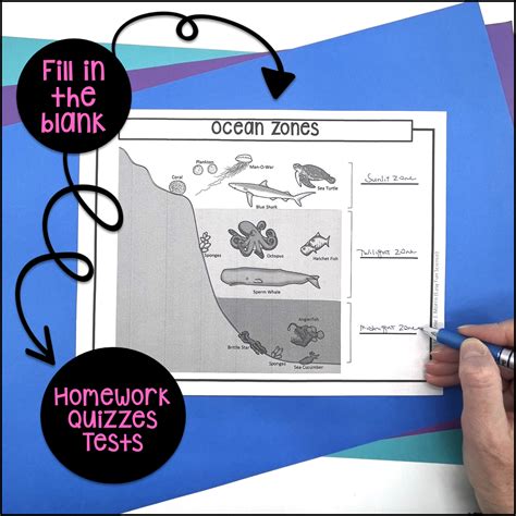 Ocean Zones Diagram Made By Teachers