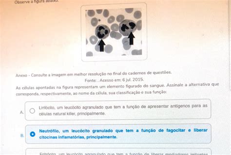 Prova Presencial Chamada Ciencias Morfofuncionais Dos Sistemas