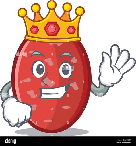 King Salami Mascota Estilo De Dibujos Animados Imagen Vector De Stock