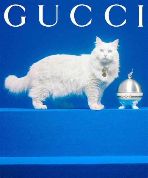 Introducing The Gucci Pet Collection For The Most Glamorous Pets