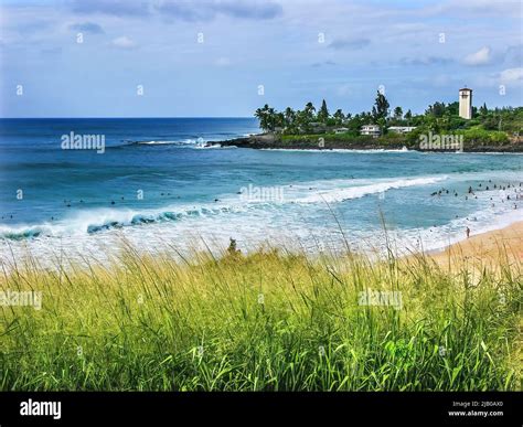 Surfers Waimea Bay North Shore Oahu Hawaii Waimea Is Relatively Flat