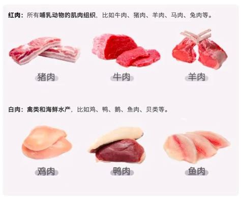 红肉和白肉有什么区别？医生：这样吃对身体最好 ＊ 阿波罗新闻网