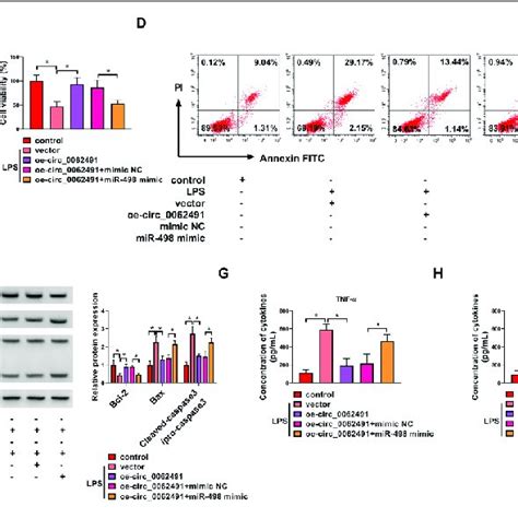 Circ Reversed Lps Evoked Apoptosis And Inflammation In Pdlcs