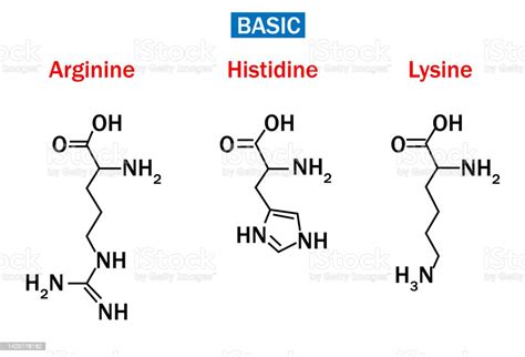 Structure Of Arginine Histidine And Lysine Stock Illustration - Download Image Now - Acid ...