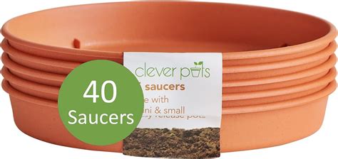 Amazon Clever Pots Easy Release Saucers Earthenware Terracotta