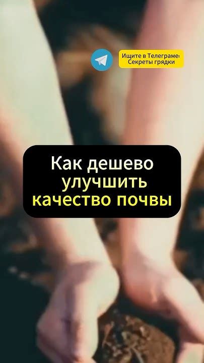 Самый лучший и дешевый способ улучшить качество почвы 🌟 #огород #дача # ...