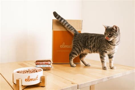 Les 7 Meilleures Croquettes pour Chat Stérilisé Comparatif