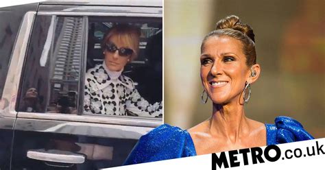 Celine Dion Reacts As A Fan Sings At Her In New Video Metro News