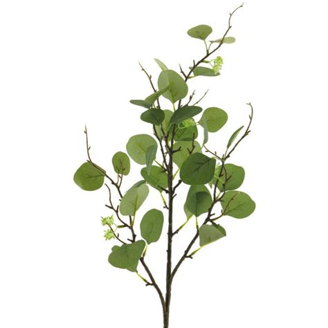 Acheter des Branche décorative d Eucalyptus YURUO vert 90cm