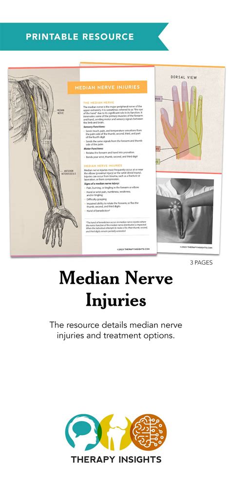 Median Nerve Injuries Adult And Pediatric Printable Resources For