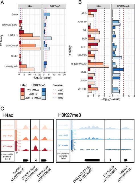 Overrepresentation Of Transcription Factor Or Transposon Families