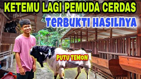 Bisnis Anak Muda Menjadi Peternak Kambing Sukses Di Usia Muda Youtube