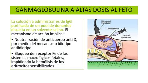 Isoinmunizaci N Rh E Incompatibilidad Abo Ppt