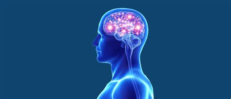 Understanding Neurological Disorders Omni Hospitals