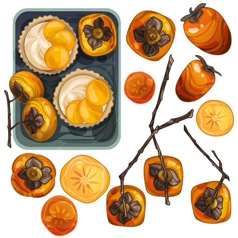 Premium Vector | A set of drawn persimmons, different varieties and