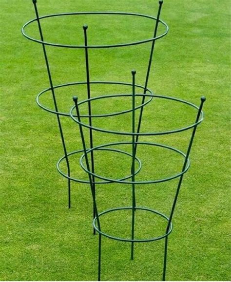 Опоры для цветов | Pfingstrosen garten, Blumen anbauen, Pflanzen