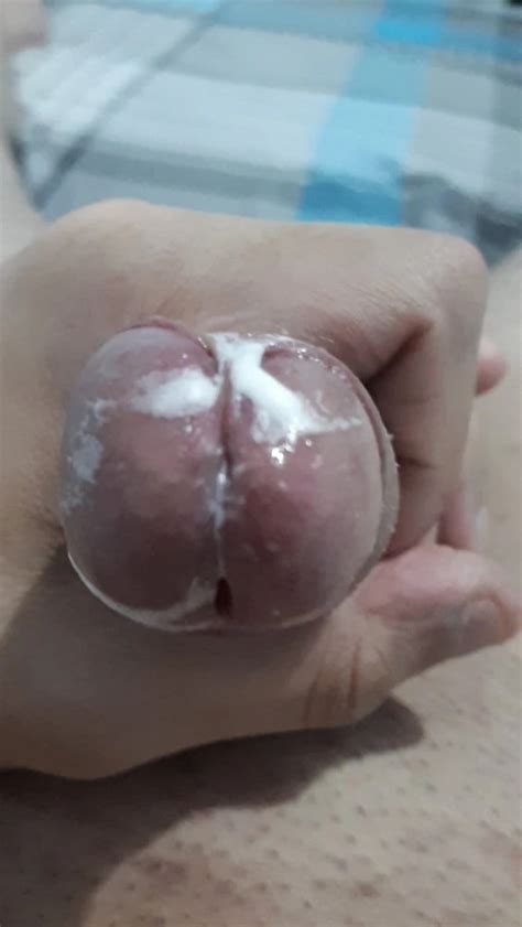 Wet Glans Penis 11 Nude Pics XHamster