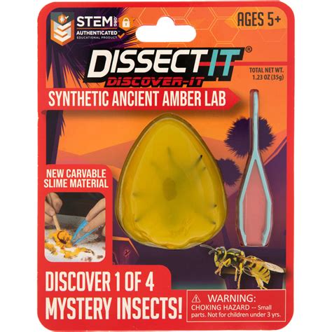 Dissect It Ancient Insect Science Kit Assortment Ages 5 And Older Mardel 4050662