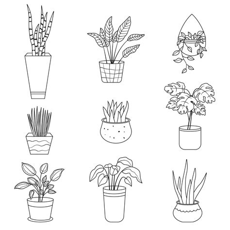 Set of house plants. Collection of potted plants outline in linear drawing style. Vector ...