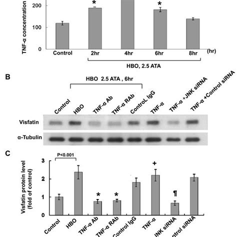 Tnf Mediates The Induction Of Visfatin By Hbo A Hbo Increased Tnf