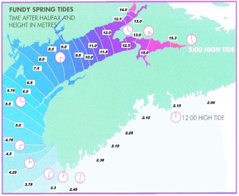 The Highest Tides In The World In The Bay Of Fundy Canada Vivid