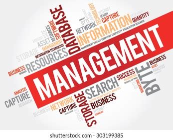 Management Word Cloud Business Concept Stock Vector Royalty Free