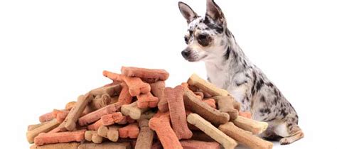 Dog Treats | Top 4 Homemade Recipes for Great Dog Treats | Atbuz