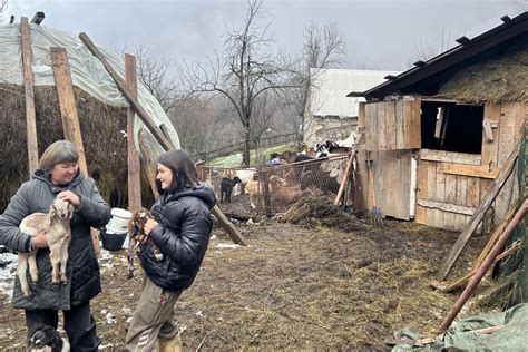 Ruskinja Tatjana Rusiju zamenila životom na selu i kozarstvom