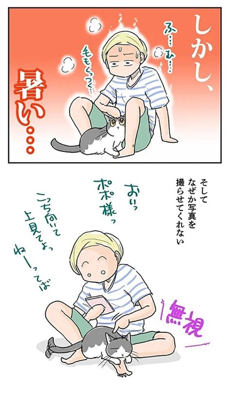 ＜画像166 644＞【ネコ漫画】個性あふれる3匹の猫とのドタバタな日常を描いたコミックエッセイを一気読み！｜ウォーカープラス