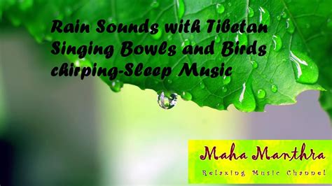 Rain Sounds With Tibetan Singing Bowls And Birds Chirping Sleep Music