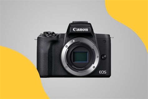 Best Canon Cameras With High Megapixels In