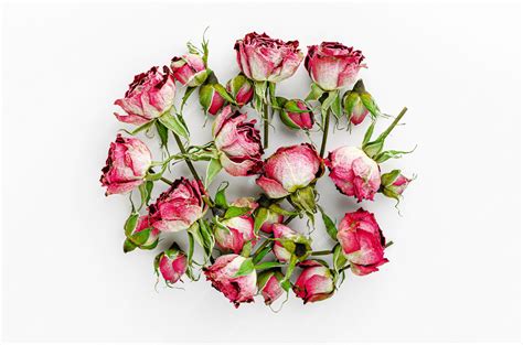 Premium Photo Heap Of Dried Red Roses On White Background