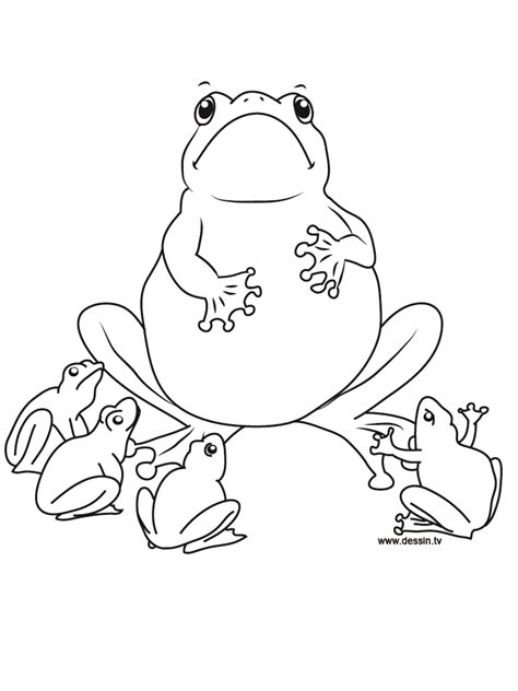 Free Printable Frog Coloring Pages For Kids