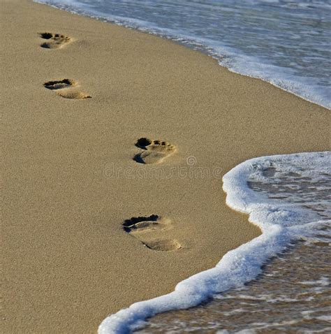 Footprints In The Sand In The Light Of The Sunset Stock Photo Image