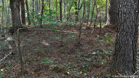 Shiloh National Military Park Corinth Unit Confederate Siege Lines