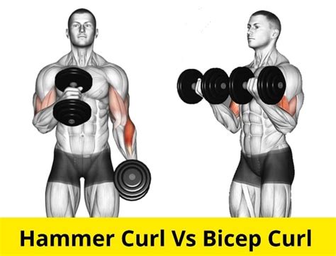 Bicep Curl Vs Hammer Curl Vs Reverse Curl Which One Is Better