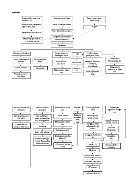 Pathway Pneumonia Pdf