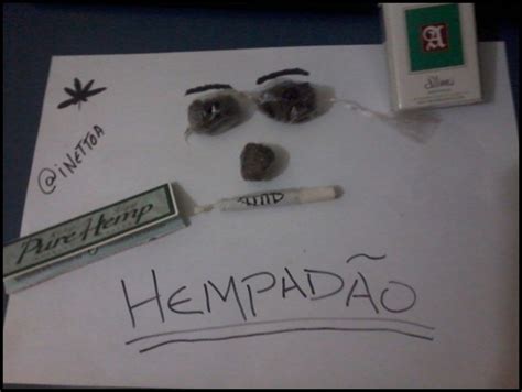 Hempadão Blog Laricas De Informação Sobre Maconha E Cannabis Imagens